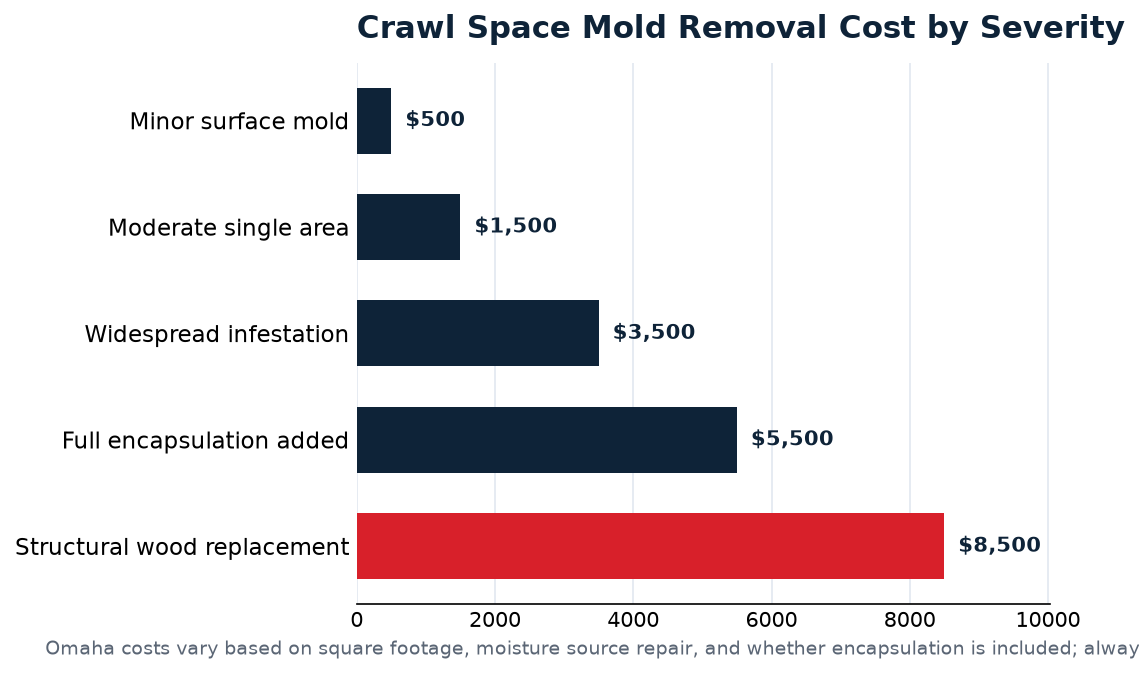 crawl space mold removal data for Omaha homeowners
